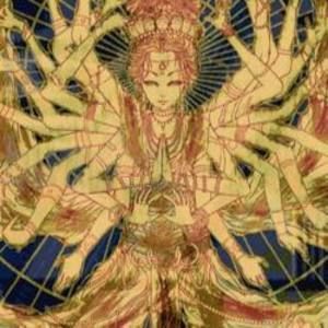 Meet your Posher, Alexia